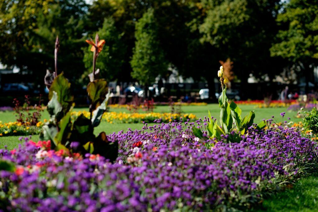 Flowers at imperial gardens