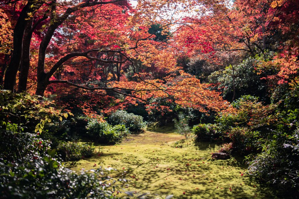 Aboretum - things to do in the Cotswolds